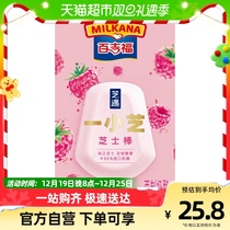 100 Giffo cheeses with a small cheese stick tree berry chiaseed taste 20g * 4 boxes