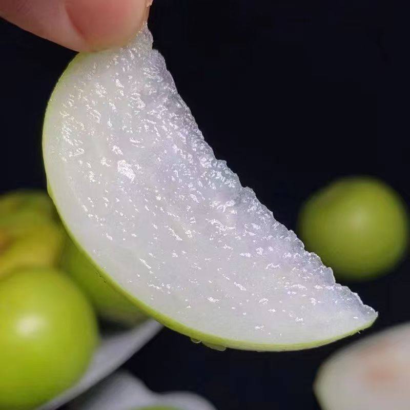 云南西双版纳苹果枣细腻化渣脆甜多汁应季孕妇新鲜水果,淘宝优惠券,粉丝福利购,淘宝优惠卷