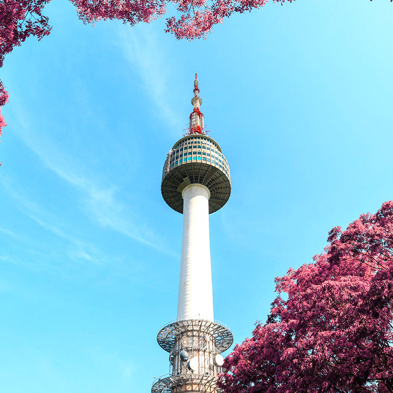  北京四达国旅普通签证