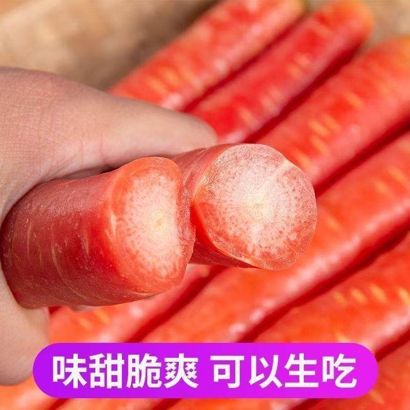 新鲜红萝卜水果萝卜沙地红萝卜农家自种现挖新鲜营养丰富健康蔬菜,淘宝优惠券,粉丝福利购,淘宝优惠卷