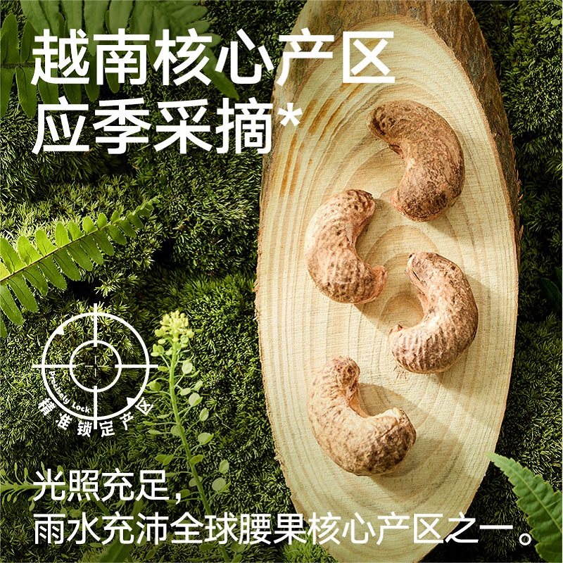 【臻选】越南A180紫皮腰果400g罐装原味带衣每日坚果炒货零食,淘宝优惠券,粉丝福利购,淘宝优惠卷