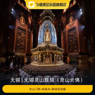 [无锡灵山胜境（灵山大佛）-灵山门票+电瓶车+精舍自助餐]