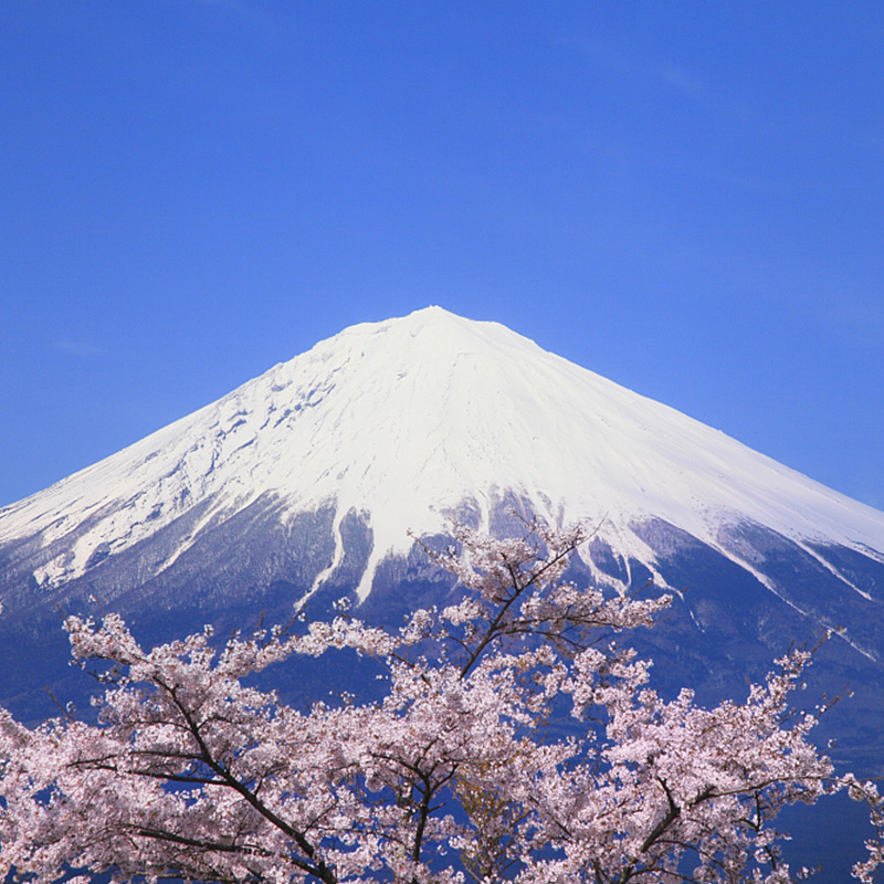 日本·单次旅游签证·上海送签·中信信旅拒签全退日本签证单次个人旅游简化加急大学生三年五年多次签证上海