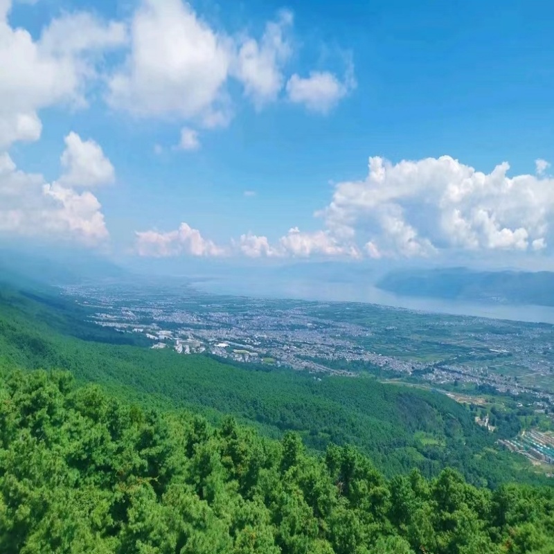 [感通索道-感通索道（含苍山地质公园）（49分钟后生效）]感通索道-大门票-图2