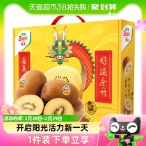 Zespri Jipei Le fruit exotique chic de lItalie 6 10 16 Un grand cadeau de fruits frais de Chine fruits frais