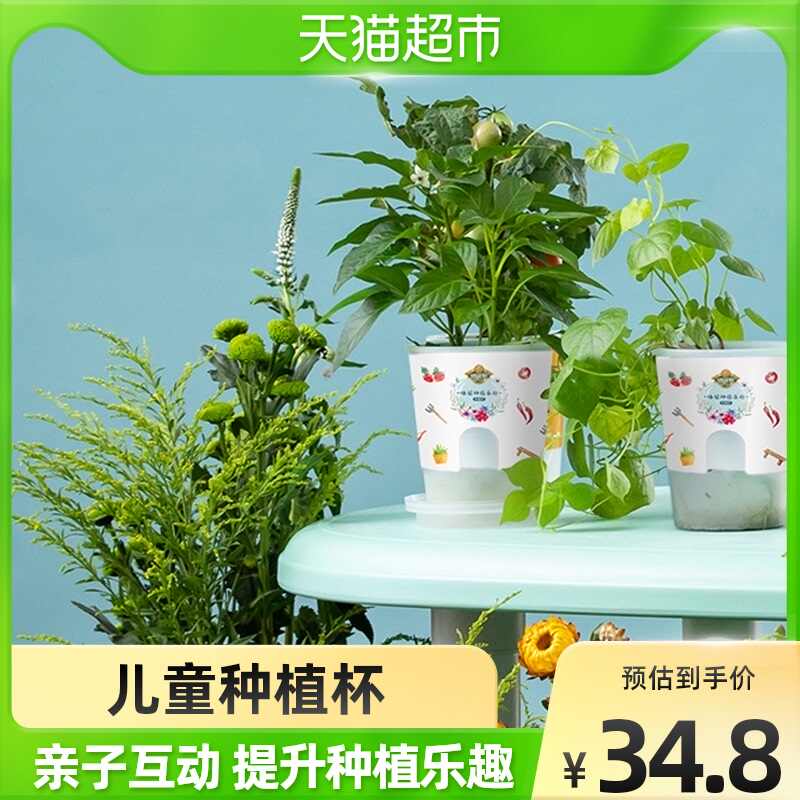 北欧風 高さ16 5cm おしゃれ かわいい インテリア ガーデニング プランター ミニ鉢 多肉植物 栽培 植木鉢 盆栽 花 観葉植物 鉢植え クリスマス特集22 プランター