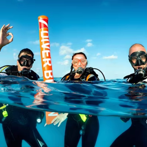 广西出发海南三亚万宁6天5晚全程豪华商务车包车三亚旅游上门接送纯玩VIP2-6人团 - 图3