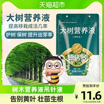 (a) Devodo tree nutrient solution for hanging needle liquid fruit tree transplanting universal tree to become a living rooting