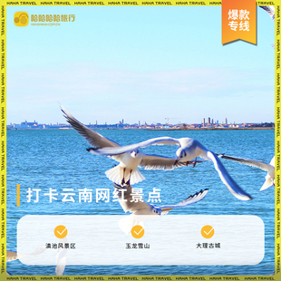 云南昆大丽6天5晚精品权益专线