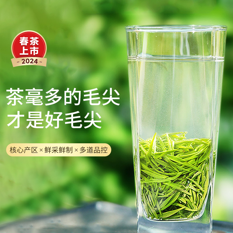 2024年新茶乐品乐茶毛尖绿茶叶明前特级正宗浓香茶一芽一叶250g-图0