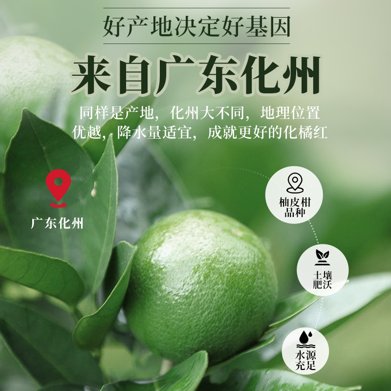 北京同仁堂化橘紅正宗化州正品陳年化州橘紅皮果片桔紅片中藥官方_天貓超市_傳統滋補營養品