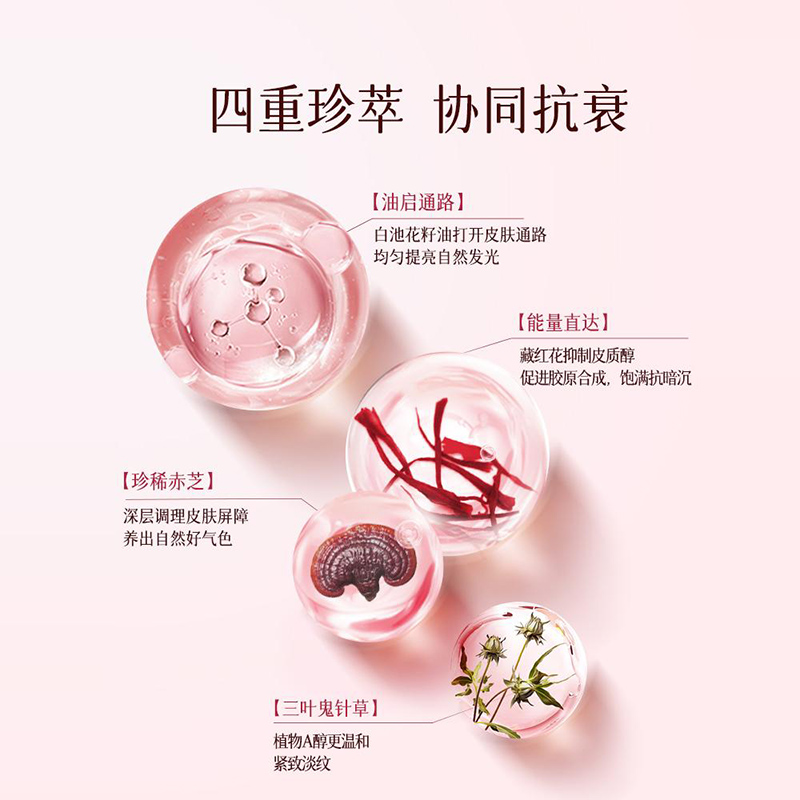 玉容初藏红花灵芝发酵油敷膜23g*5保湿舒缓抗皱面膜敏感肌
