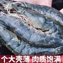 【顺丰包邮】青岛特大青虾
