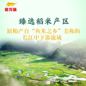 金龙鱼臻选丝苗米5kg*1袋南方大米 籼米