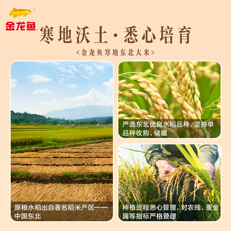 金龙鱼寒地东北大米生态米经典圆粒米,淘宝优惠券,粉丝福利购,淘宝优惠卷