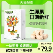 Original Champ House Raw Cashew Nuts Nuts Daily Nuts 500g Snacks Fresh Vietnam Big Grain Dry Fruits