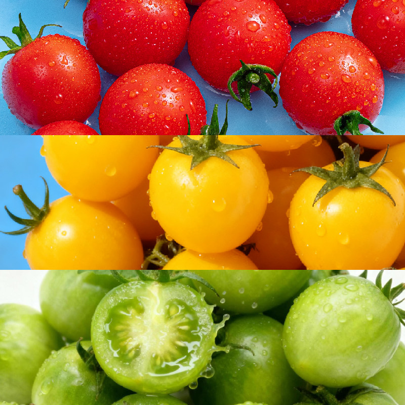 【一颗大】樱桃番茄红黄组合装酸甜爆汁下午茶水果,淘宝优惠券,粉丝福利购,淘宝优惠卷