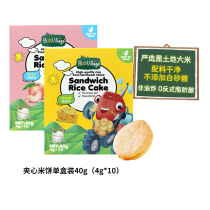 (self-employed) Bio chic round sandwich rice cake baby children snacks cheese biscuit without added white sugar