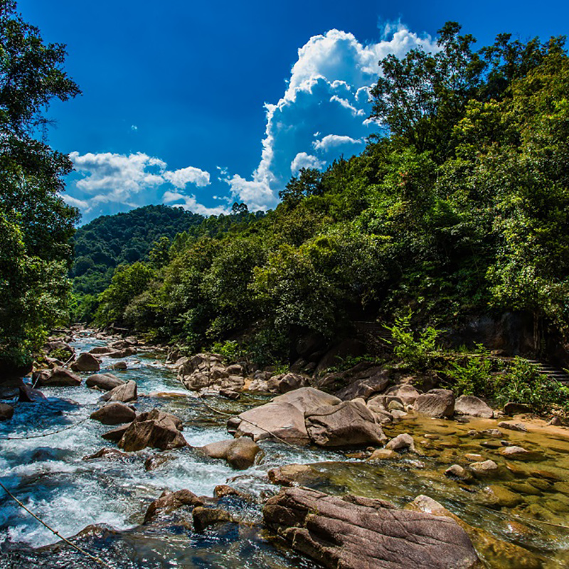 [大丰门景区-门票+划船]广州 增城大丰门景区 观光门票+划船套票 - 图2