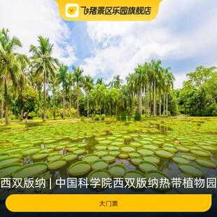 大门票 纳热带植物园 中国科学院西双版
