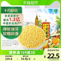 October Inada rhubarb rice 1kg Northeast rhubarb rice glutinous rice sticky yellow rice glutinous millet 5 cereals Cereals Cereals