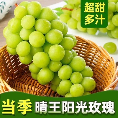 阳光玫瑰葡萄晴王新鲜无籽香印青提水果礼盒顺丰应当季整箱包邮