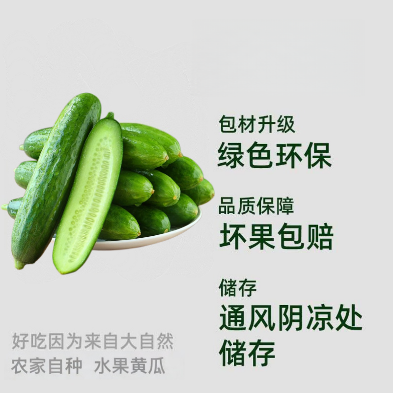 众利合山东水果黄瓜新鲜脆嫩爽口无刺开箱即食口口鲜香多种吃法