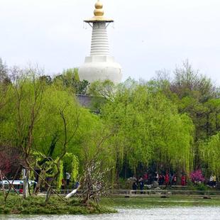[瘦西湖-瘦西湖白天票+个园白天票+大明寺]