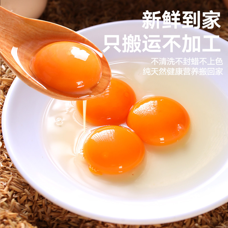 正宗农家散养柴鸡蛋土鸡蛋50g初生蛋营养食材笨鸡蛋,淘宝优惠券,粉丝福利购,淘宝优惠卷