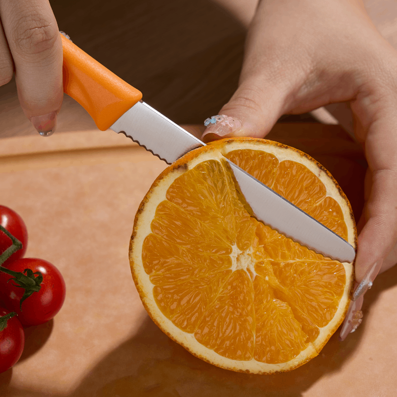 德国百年品牌施耐福进口不锈钢水果刀家用便携瓜果刀高端刀具套装,淘宝优惠券,粉丝福利购,淘宝优惠卷