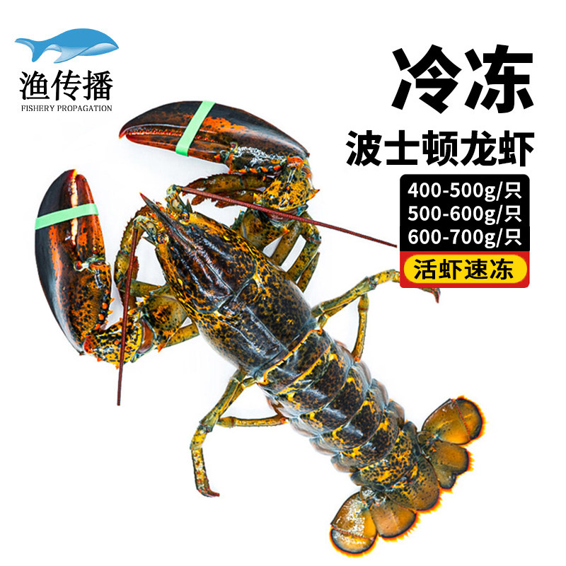 Fishing Spread Live Shrimp Quick Frozen Frozen Boston Lobster