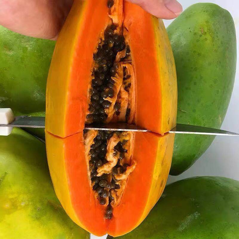 广西冰糖红心木瓜应季当季青皮木瓜牛奶木瓜新鲜水果整箱批发,淘宝优惠券,粉丝福利购,淘宝优惠卷