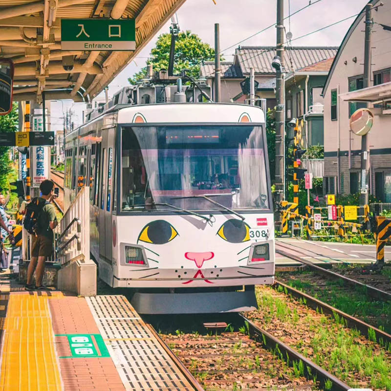 7日悠游日韩之旅维京游轮济州岛长崎佐世保大阪神户上海出发 - 图2