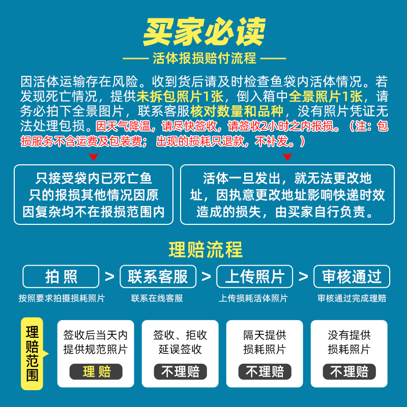 热带观赏活体小鱼好养宝莲灯淡水小鱼苗神仙小型红绿灯科练手群游-图2