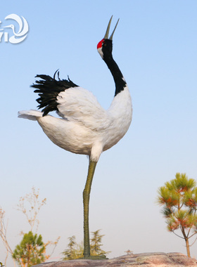 丹顶鹤拍摄纯手工园林装饰摆件