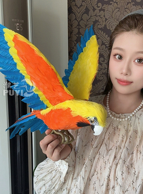 濮艺仿真金刚鹦鹉摆件羽毛鸟彩色动物道具教学模型摄影工艺品30cm