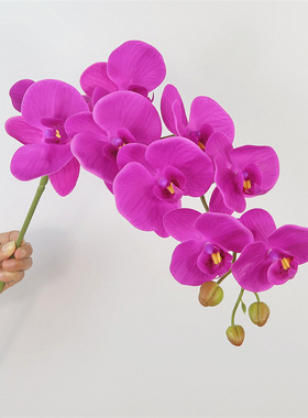 花艺蝴蝶兰蝴蝶兰仿真花