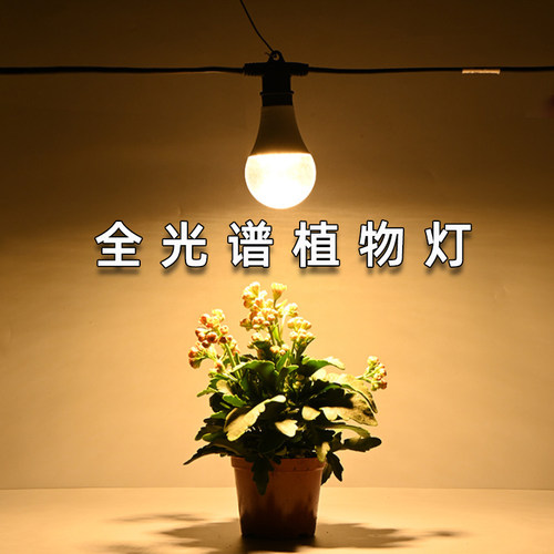 蔬菜多肉火龙果百香果菊花大棚增产催熟用仿太阳光led植物补光灯 - 图2