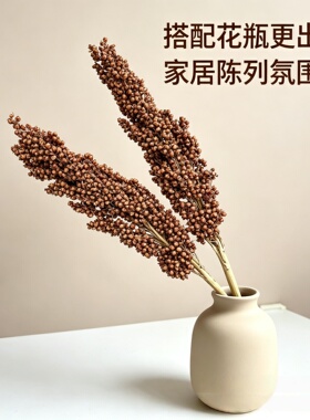 高粱谷穗干花花束装饰摆件