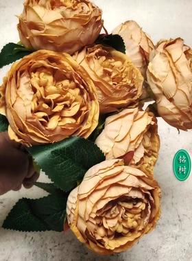 绢花奥斯汀玫瑰欧美风