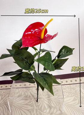 假花仿真绿植红掌盆景摆件塑料客厅绿色植物落地盆栽装饰摆设