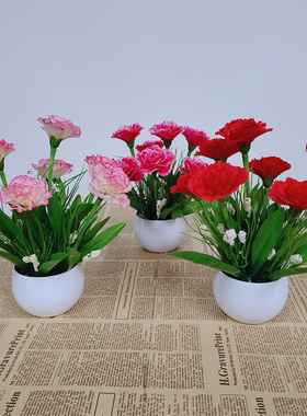 康乃馨仿真花假花装饰花小盆栽绢花客厅茶几桌干花艺餐桌花摆设