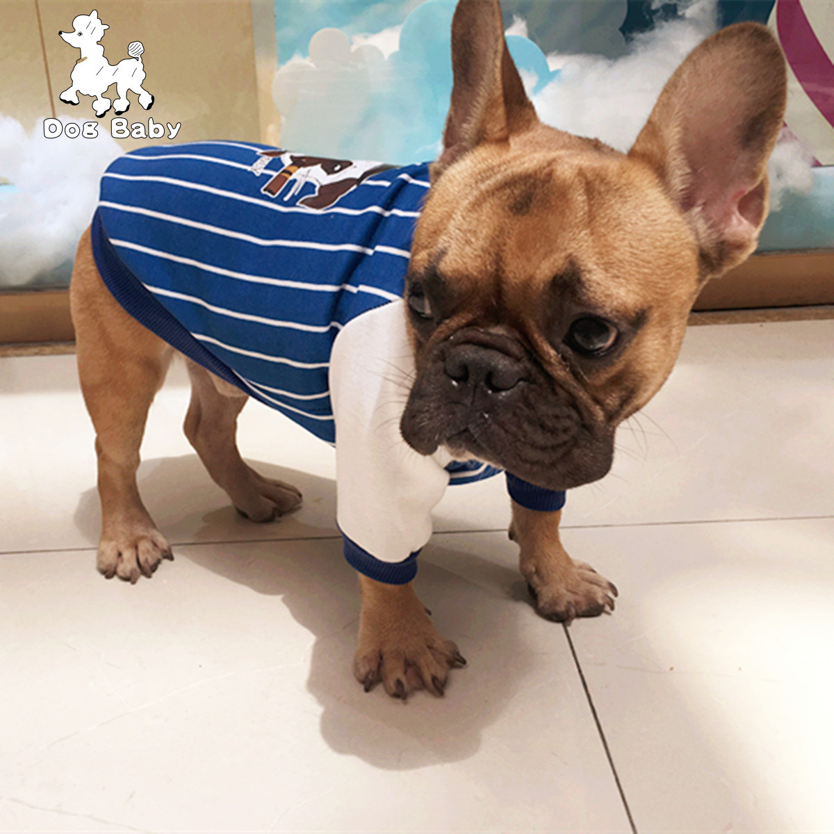 @宠物狗衣服服装英国斗牛犬卫衣宠物服装/雨衣通用Dogbaby - 图1