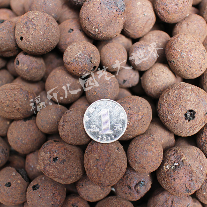 中号散装陶粒-植物花卉栽培基质无土栽培基质介质水培植物基质,淘宝优惠券,粉丝福利购,淘宝优惠卷