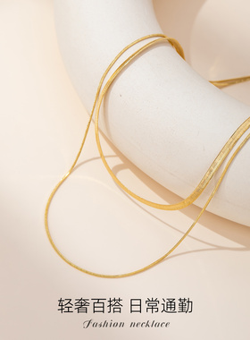 双层蛇骨链叠戴项链女款2026新款高级感轻奢小众配饰毛衣链饰品