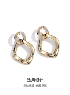 小众独特纯银高级感轻奢耳环
