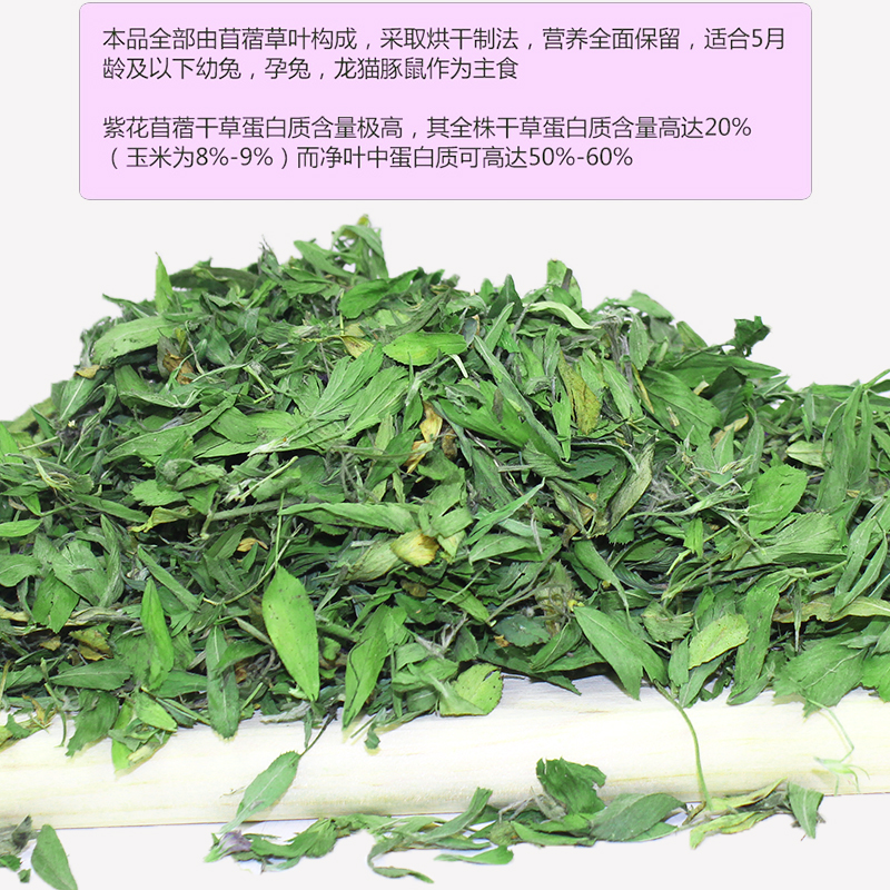 包邮 嫩绿紫花苜蓿草叶子毛重1KG 兔子龙猫天竺鼠牧草干草兔粮 - 图0