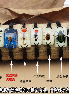真昆虫夜光手链创意男女蝎子民族