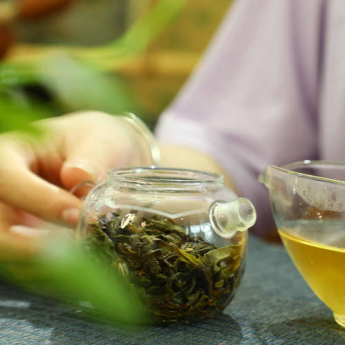 SUSU单丛 | 鸭屎香 凤凰单枞茶 自家 乌岽单丛清香型2026新茶500g - 图1