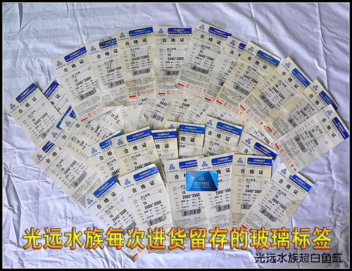 光远 超白鱼缸定做 金晶超白玻璃 草缸 海水缸 全国包邮厂家直销 - 图3